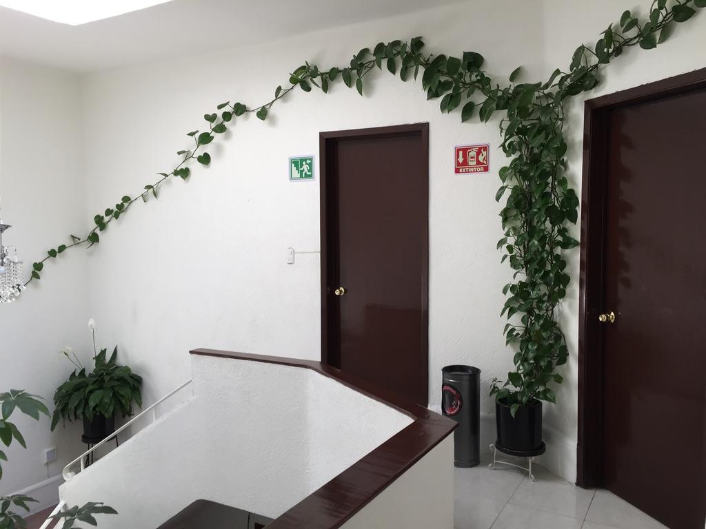 Casa Maria Elena Condesa (Adults Only) Hotel Mexico By Eksteriør billede