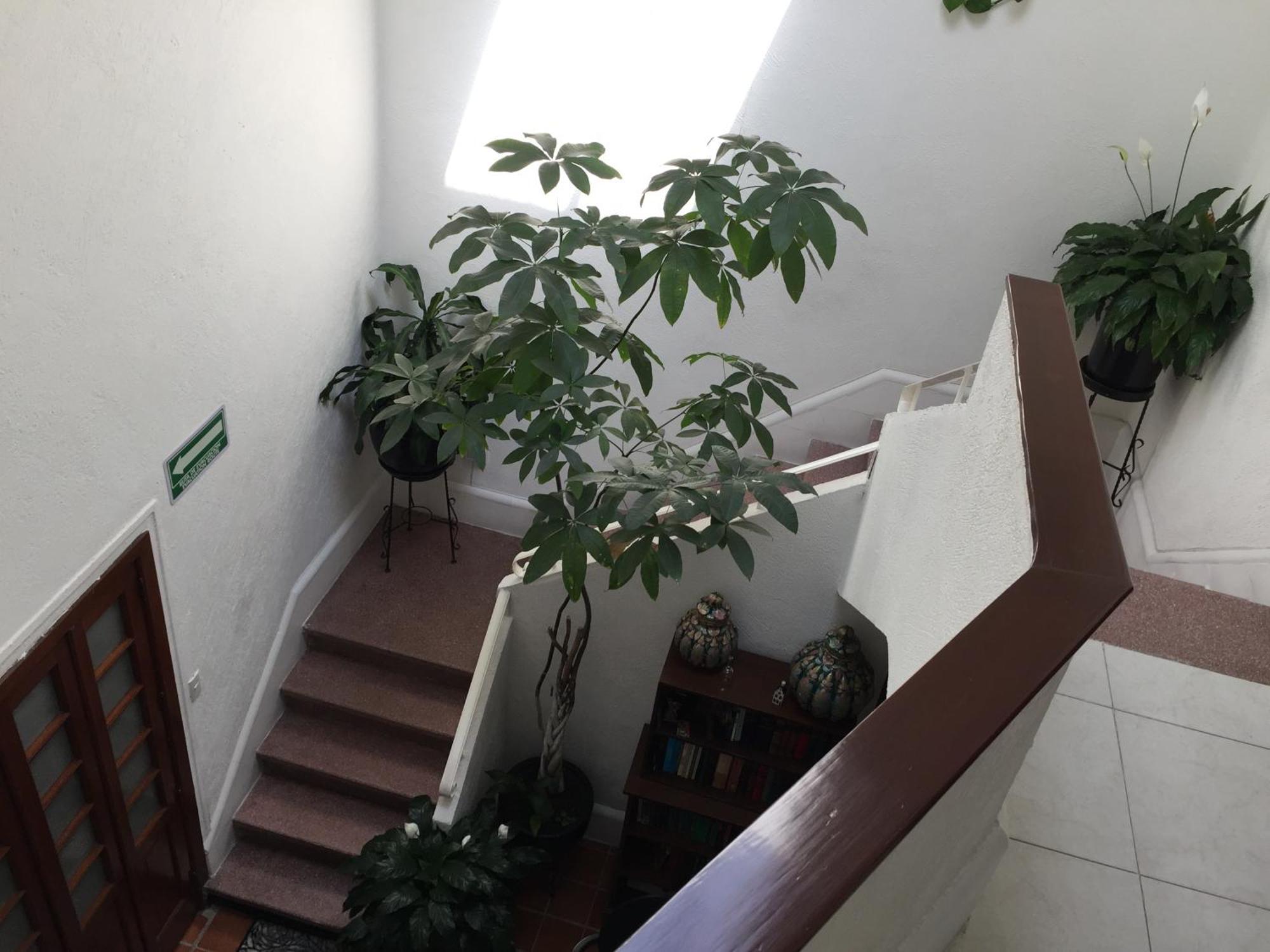 Casa Maria Elena Condesa (Adults Only) Hotel Mexico By Eksteriør billede