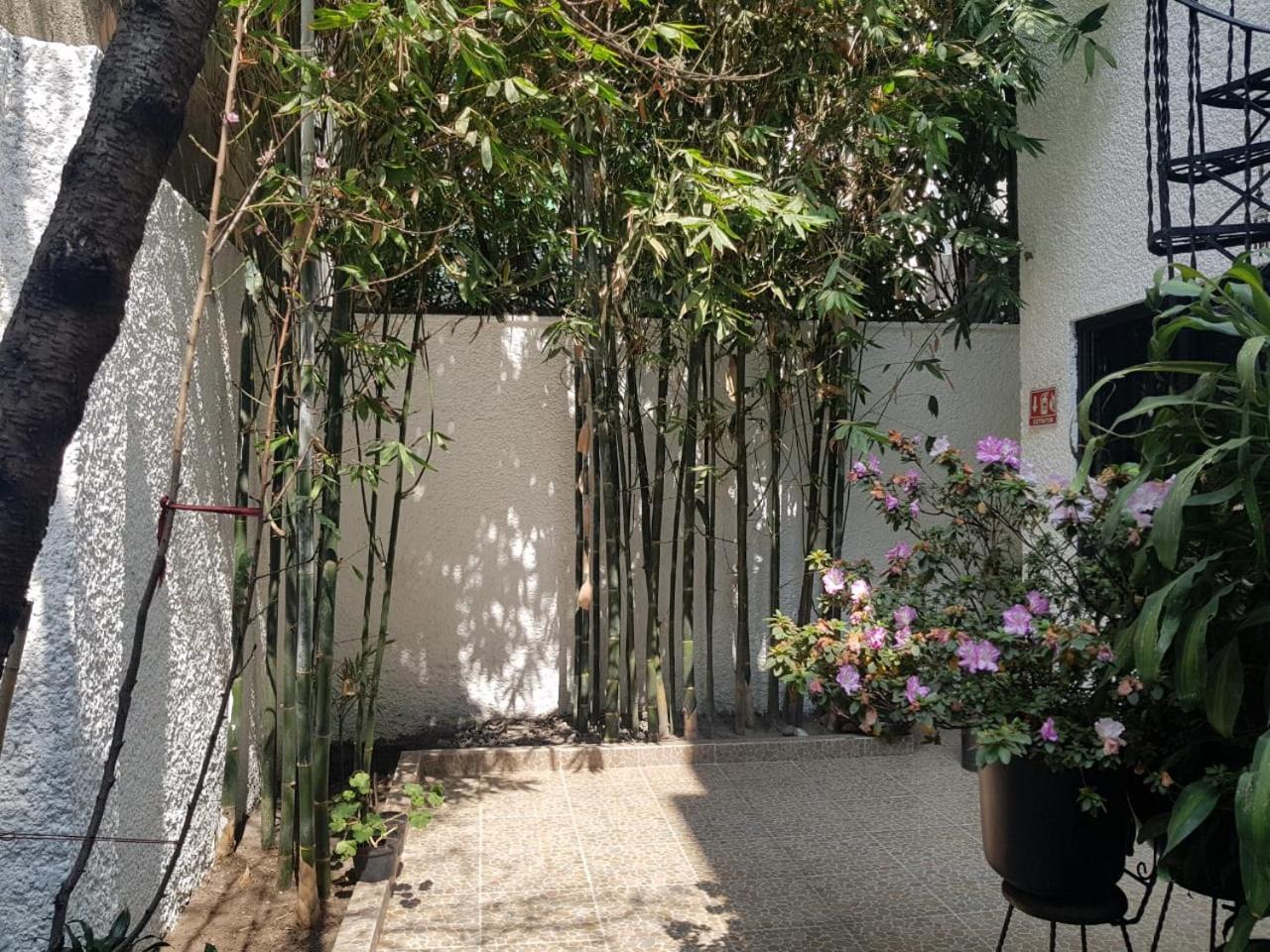 Casa Maria Elena Condesa (Adults Only) Hotel Mexico By Eksteriør billede